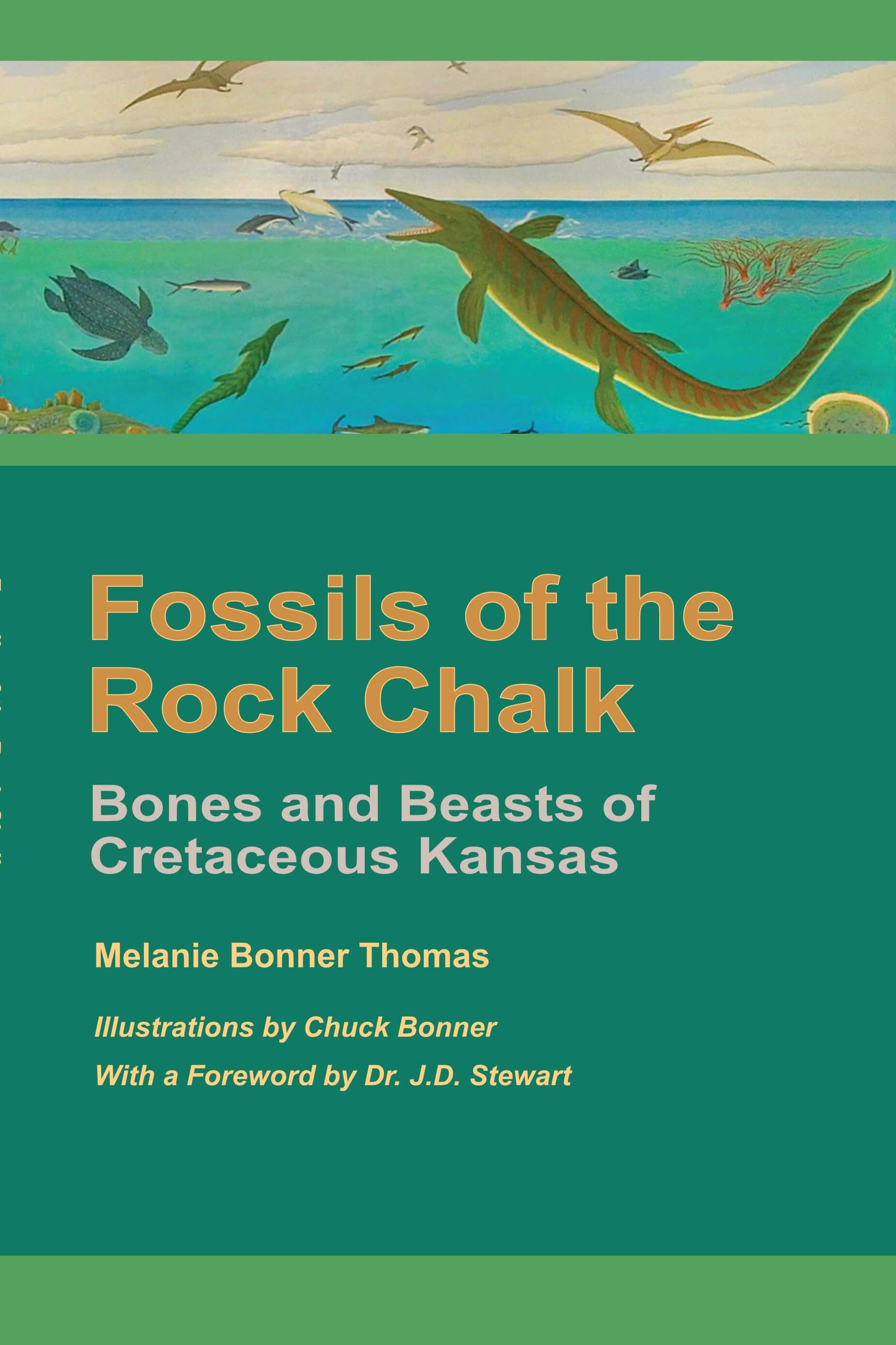 Old Man of the Fossil Beds book cover